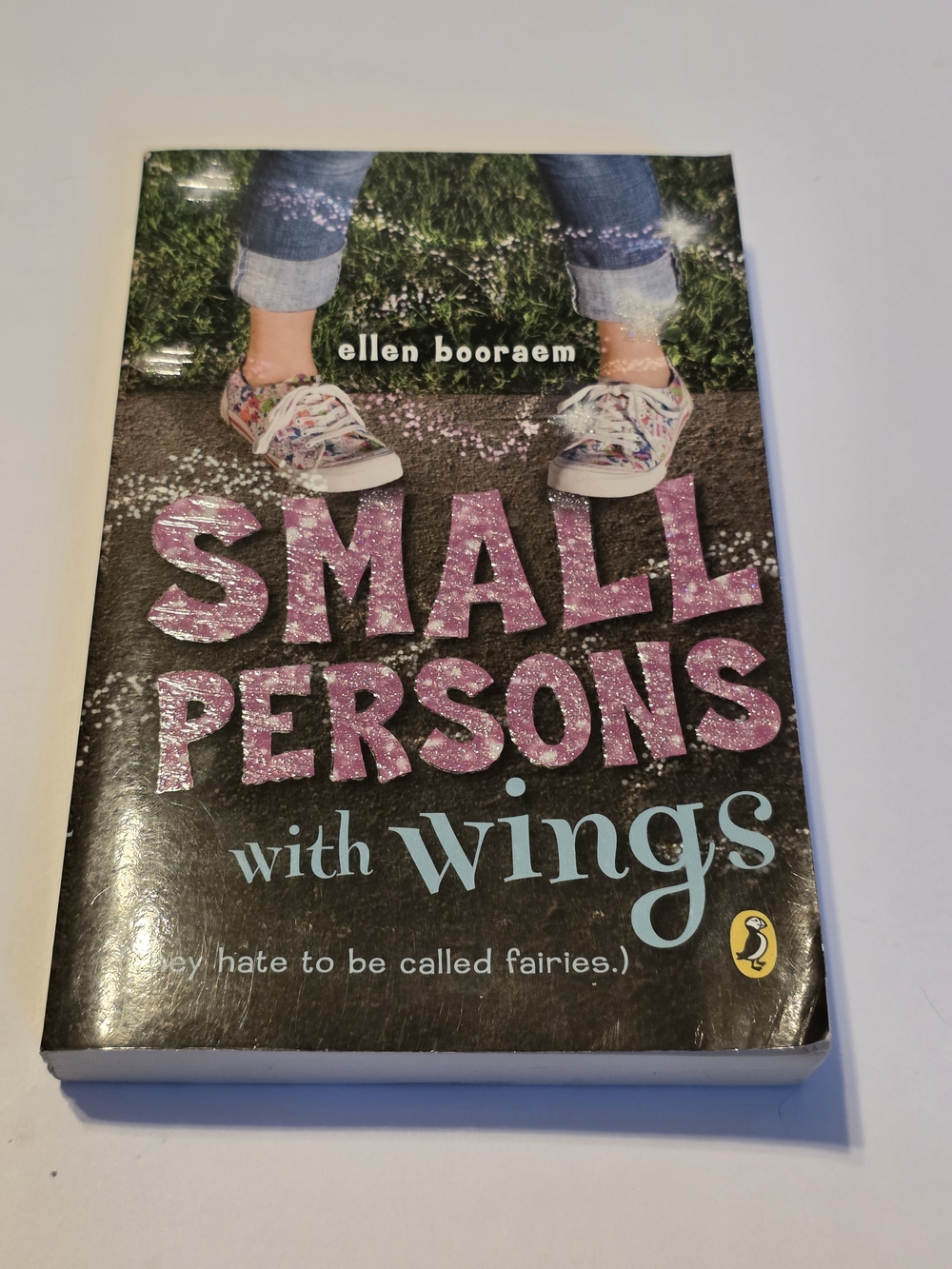 Ellen Booraem Small Persons with Wings - Pink Cover Children's Book